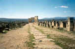 Volubilis.jpg (62497 bytes)