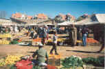 Weekend_Souk-Ifrane.jpg (74300 bytes)